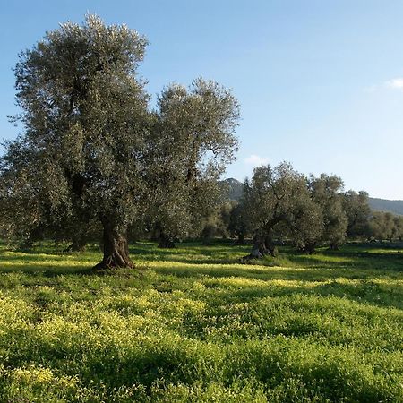 Minicasa Nella Natura, Con Piscina A Due Passi Ostuni Zewnętrze zdjęcie