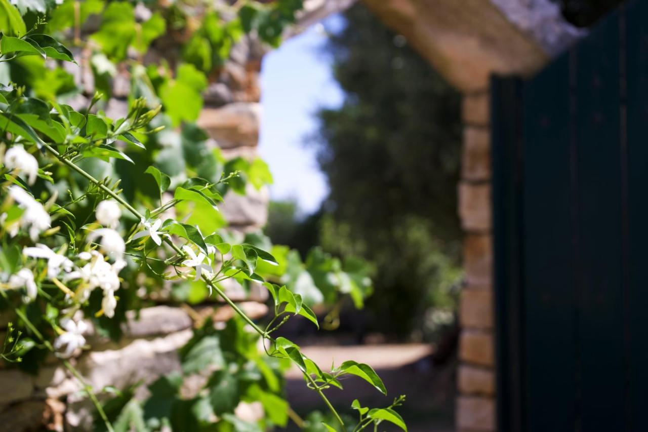 Minicasa Nella Natura, Con Piscina A Due Passi Ostuni Zewnętrze zdjęcie