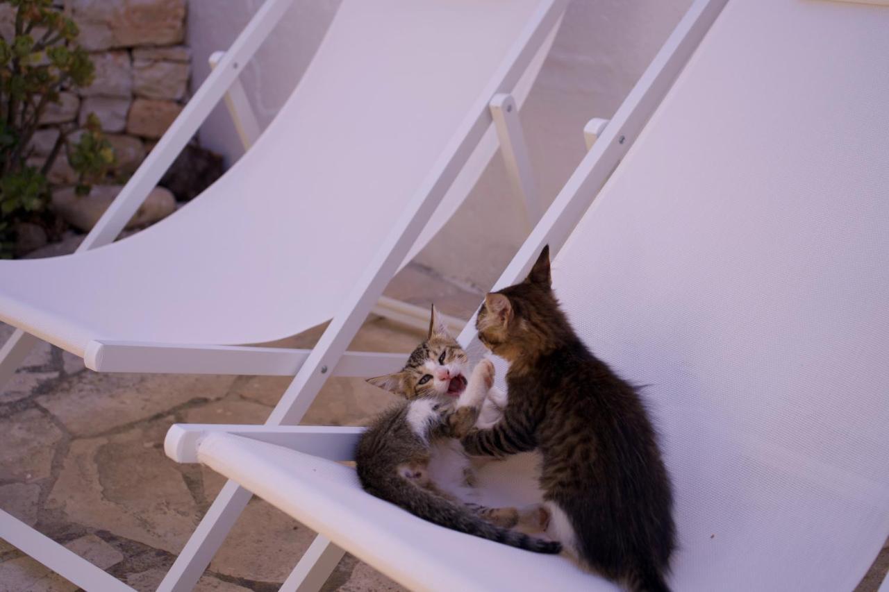 Minicasa Nella Natura, Con Piscina A Due Passi Ostuni Zewnętrze zdjęcie