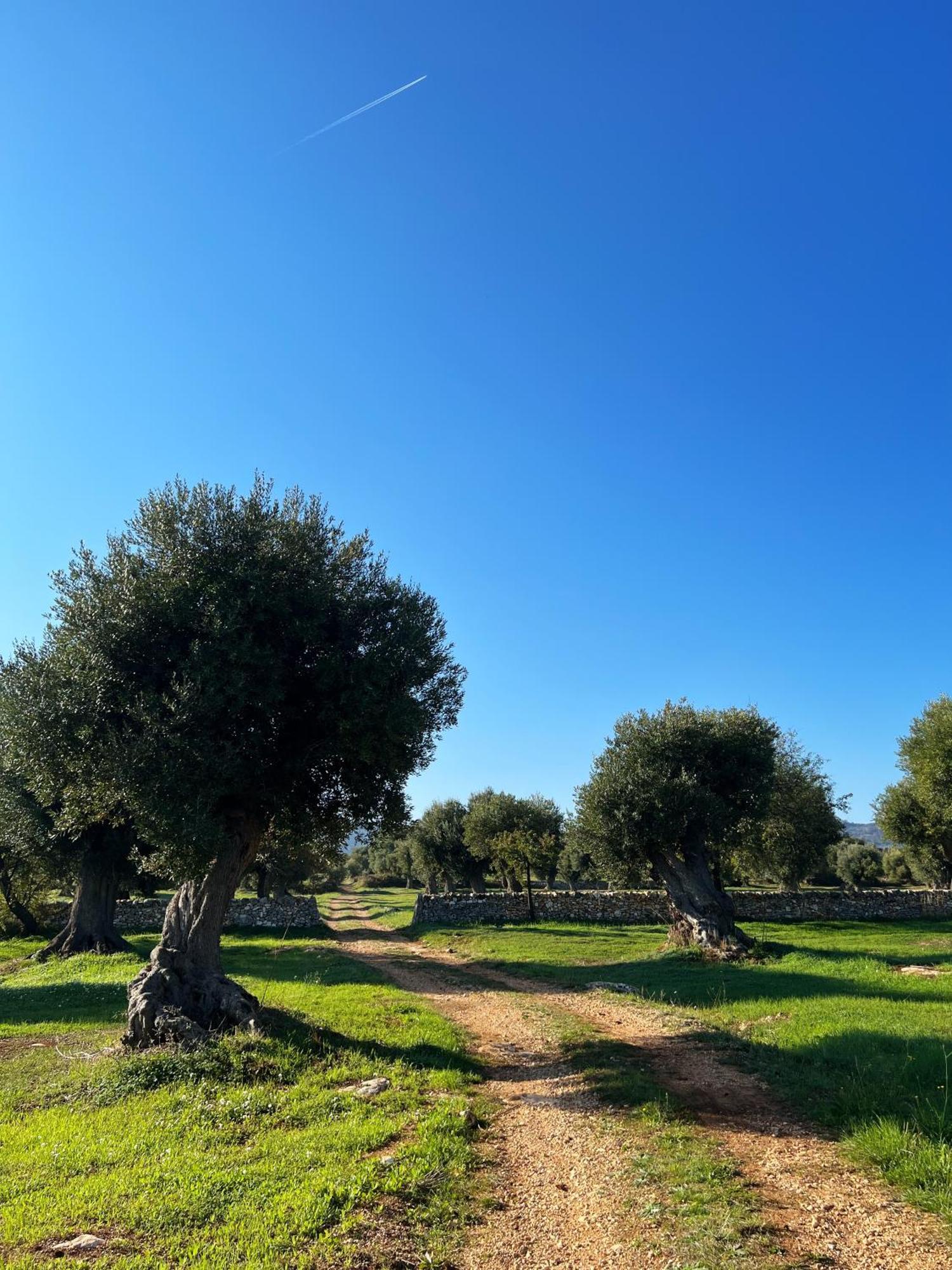 Minicasa Nella Natura, Con Piscina A Due Passi Ostuni Zewnętrze zdjęcie
